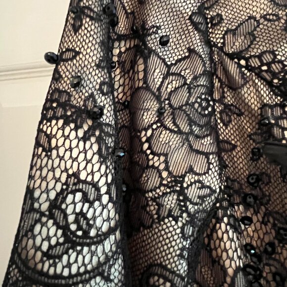 Jovani LAce feather Dress - Picture 5 of 6